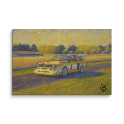 Audi Quattro S1 - German Countryside